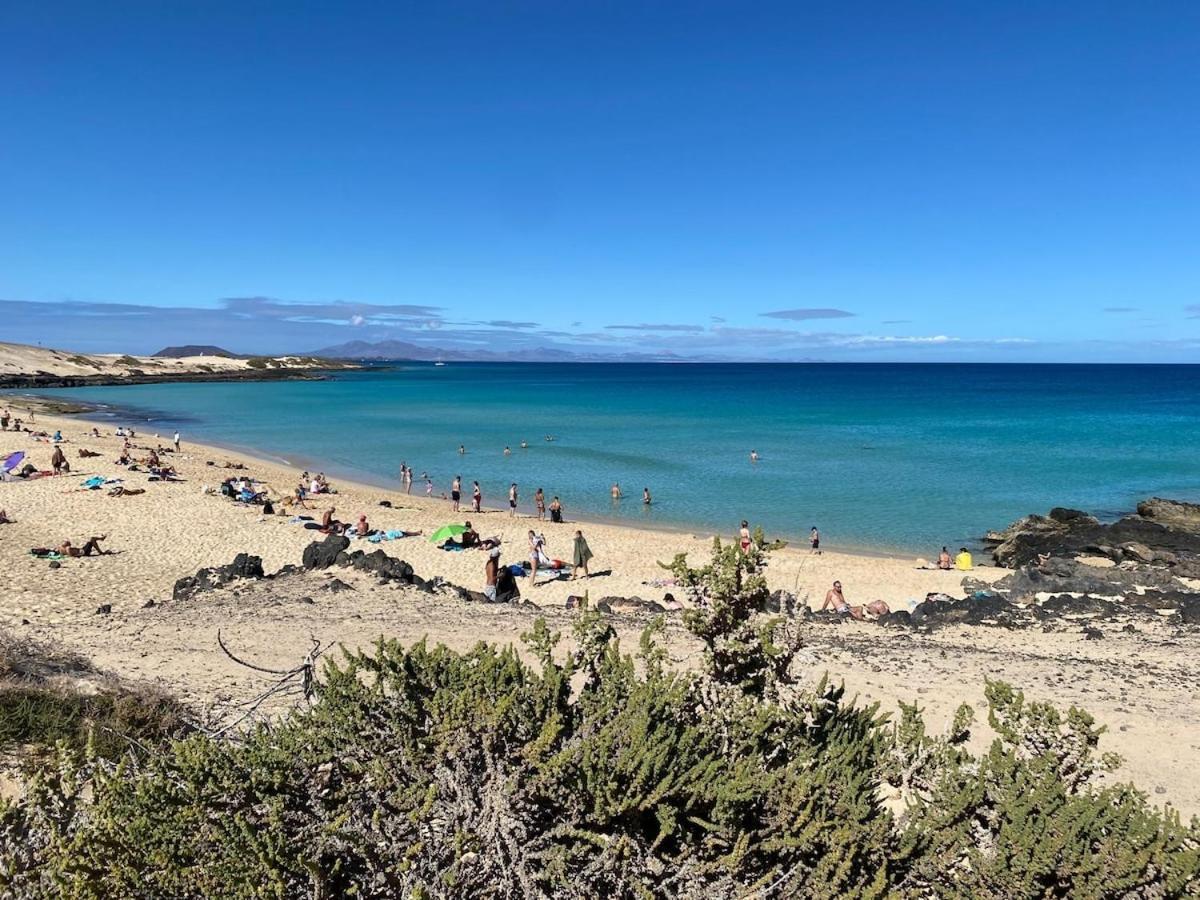 La Casa Del Toro Corralejo